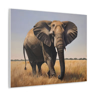 Canvas Wall Art Elephant