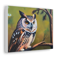 Owl Canvas Wall Art