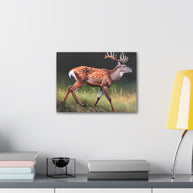 Canvas Wall Art Deer