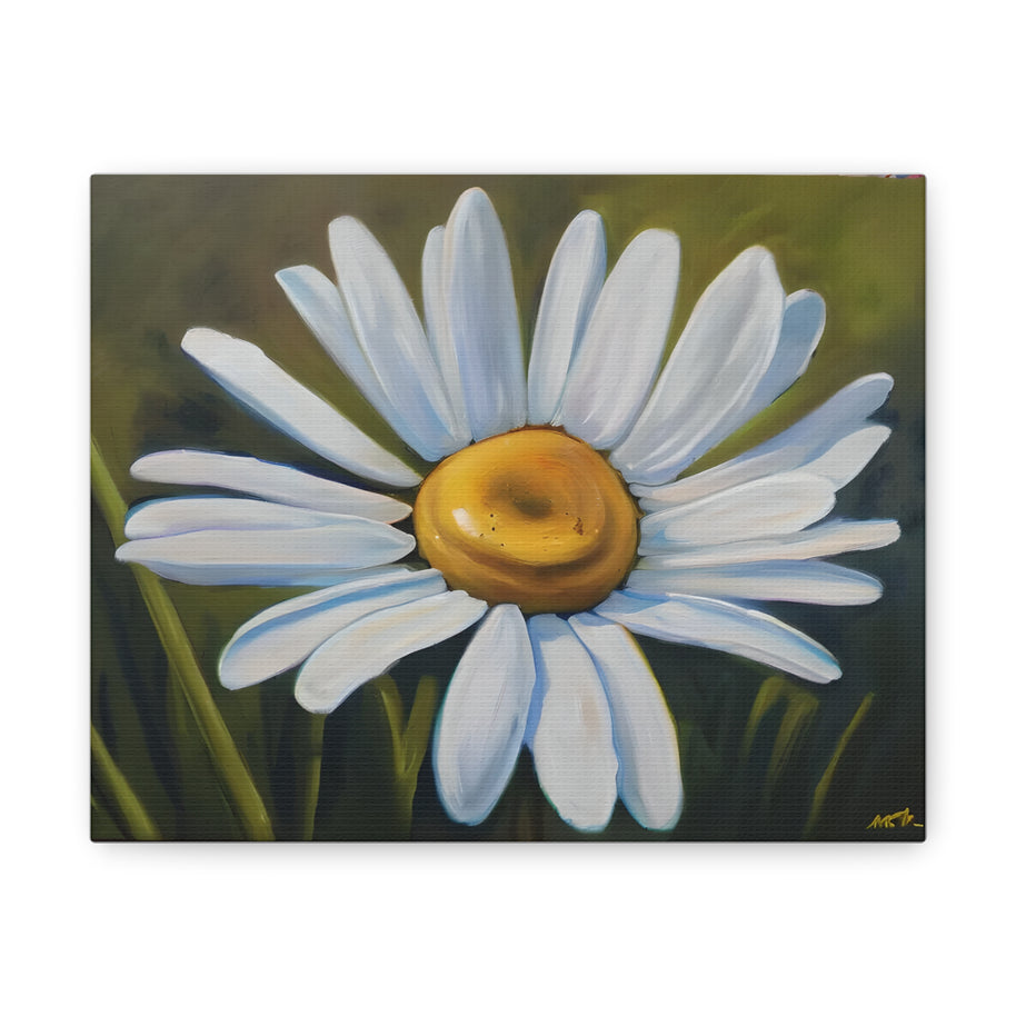 Daisy Canvas Wall Art