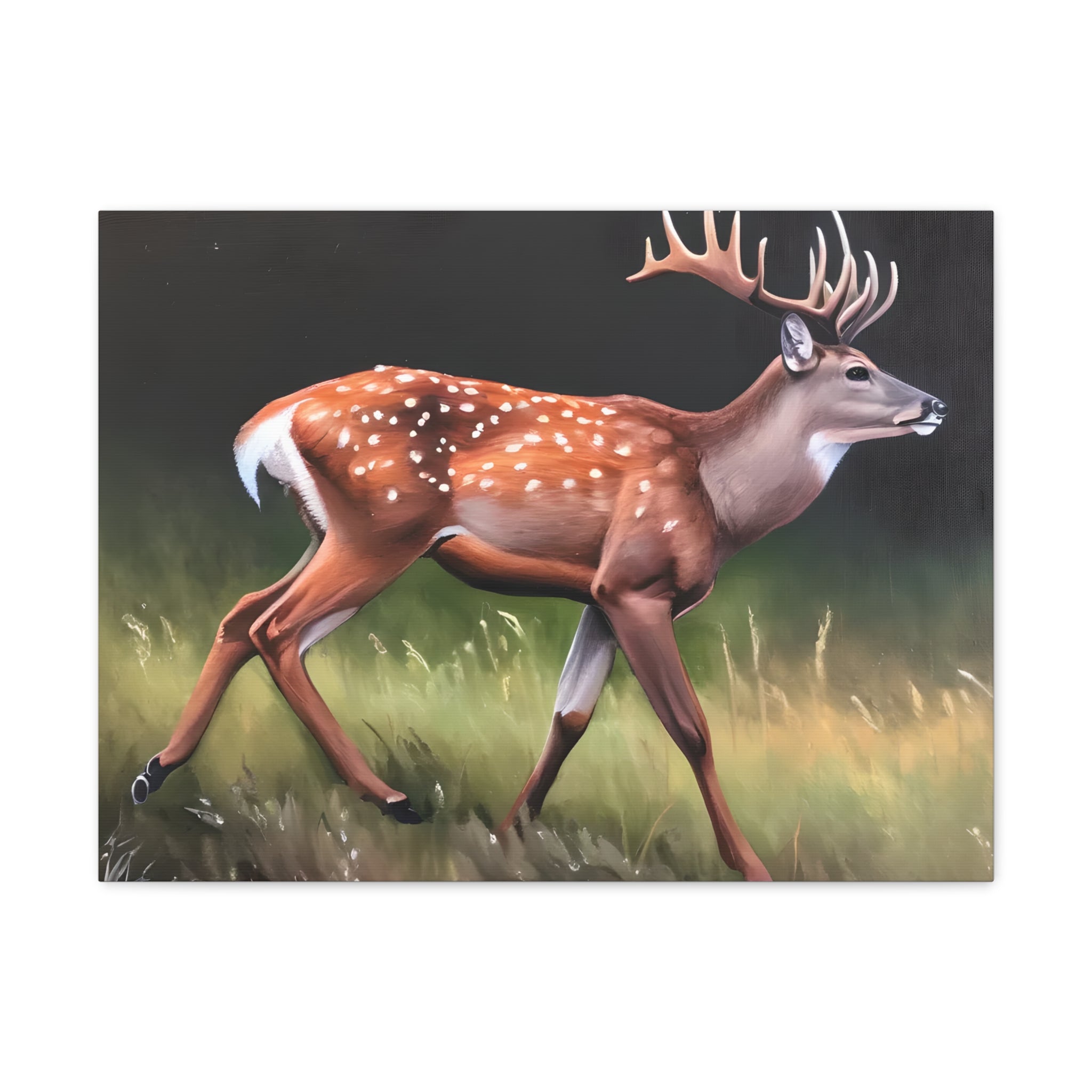 Canvas Wall Art Deer