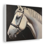 Large Horse Canvas Wall Art