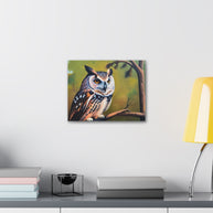 Owl Canvas Wall Art