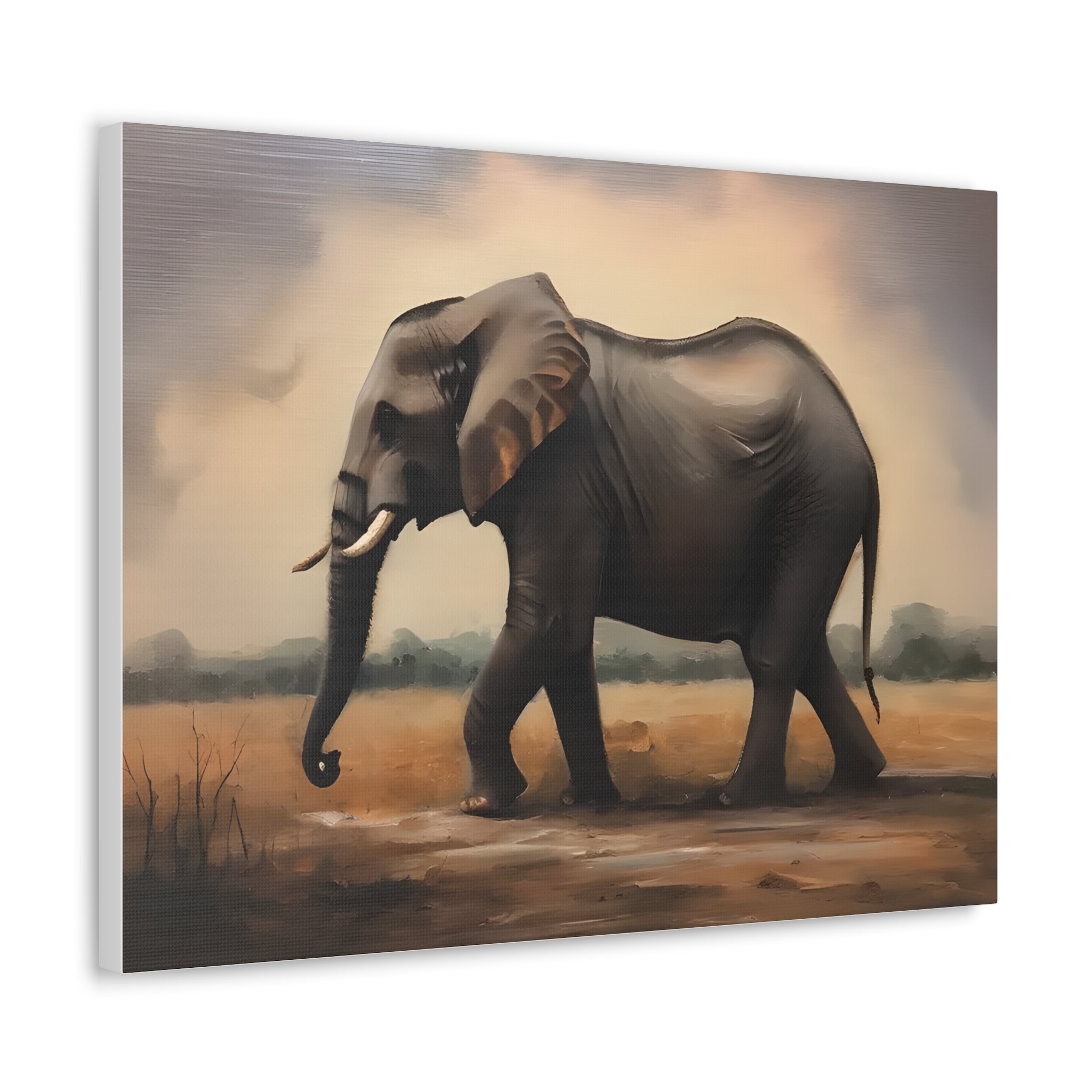 Elephant Canvas Wall Art