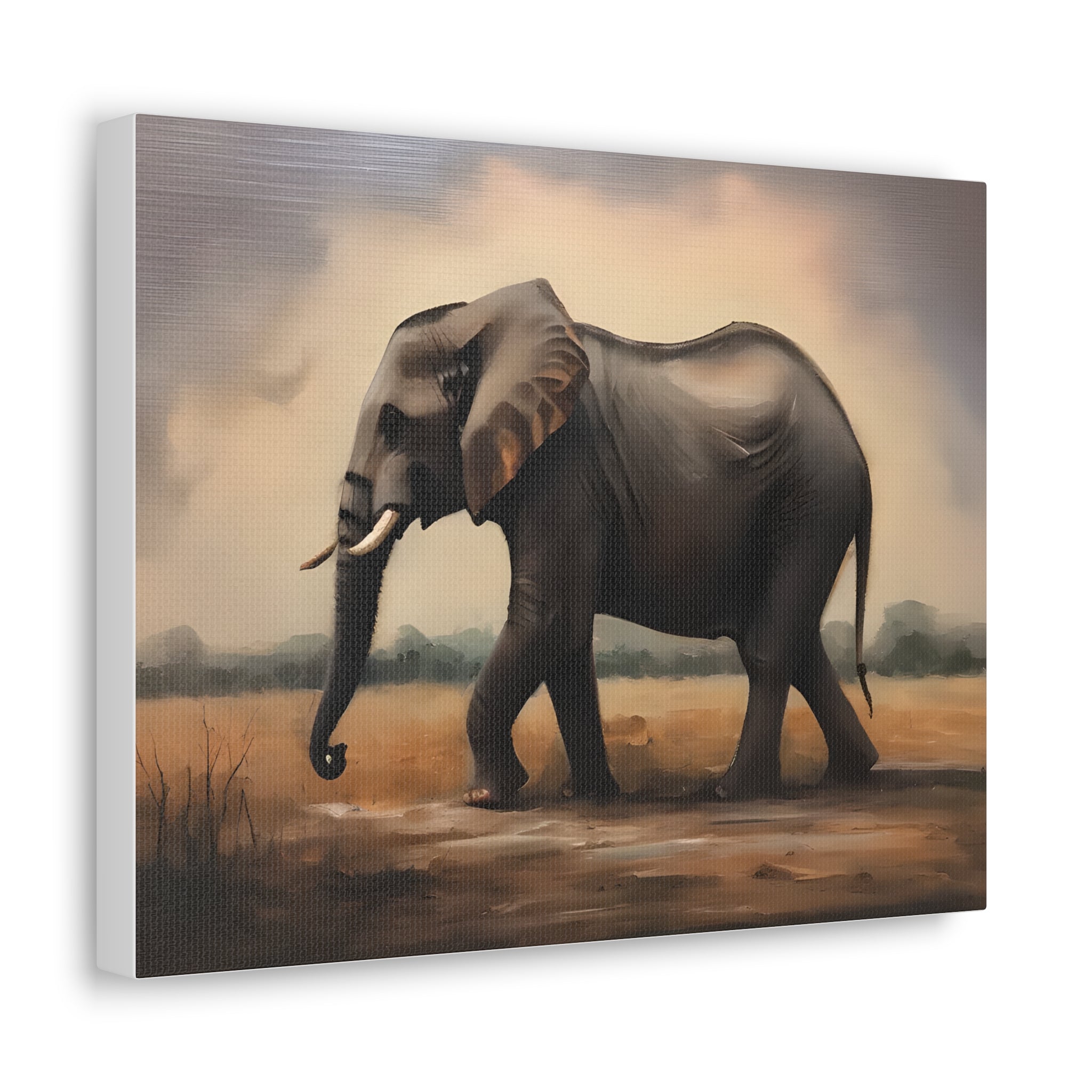 Elephant Canvas Wall Art