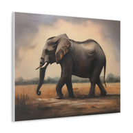 Elephant Canvas Wall Art