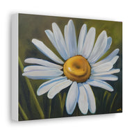 Daisy Canvas Wall Art